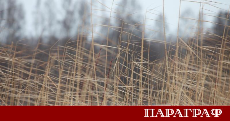 Сливен бе връхлетян от силен вятър със скорост до 100