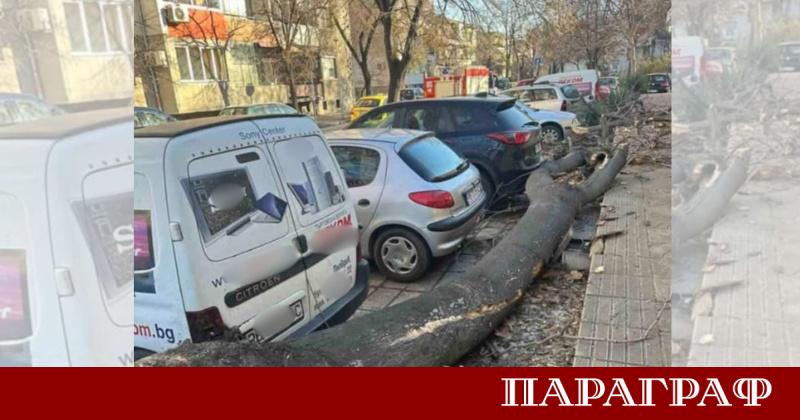 Силният вятър в Пловдивска област причини материални щети в Сопот