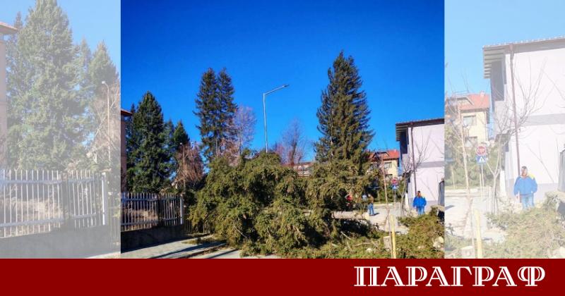 Силен бурен вятър причини сериозни щети в Югозападна България Десетки