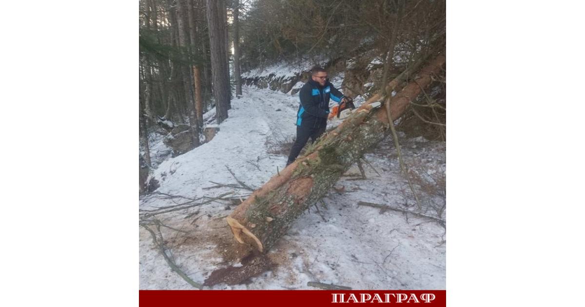 Силен ураган повали множество дървета по пътя от местността Бетоловото