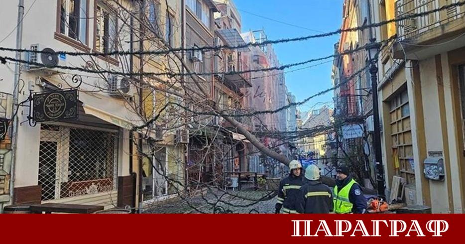 Ураганният вятър който причини сериозни щети в неделя ще продължи