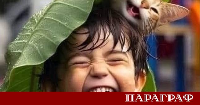 Народната мъдрост гласи че смехът е най доброто лекарство Нови