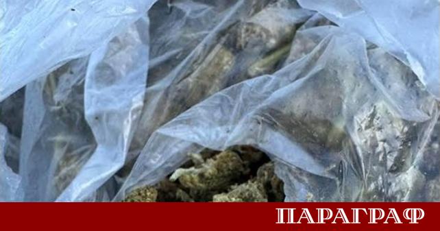 На Коледа служител на Затворническото общежитие в село Самораново е