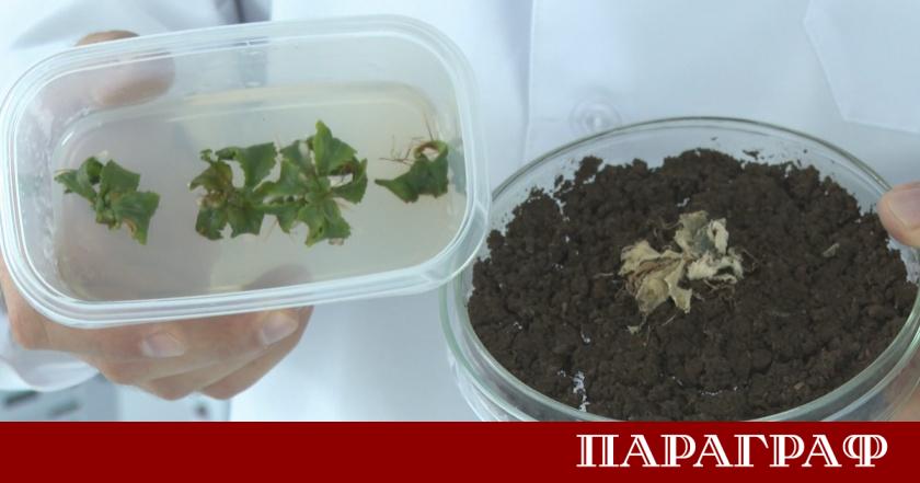 Климатичните промени представляват сериозна заплаха за селскостопанската продукция в България