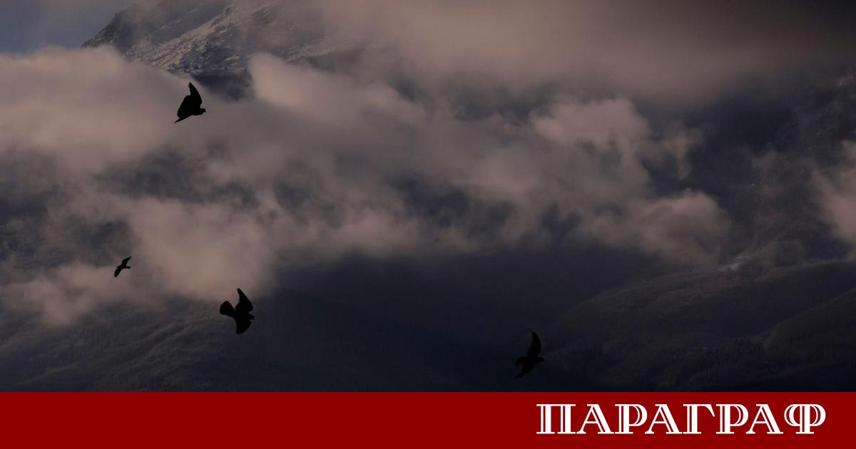 Националният институт по метеорология и хидрология НИМХ обяви жълт код