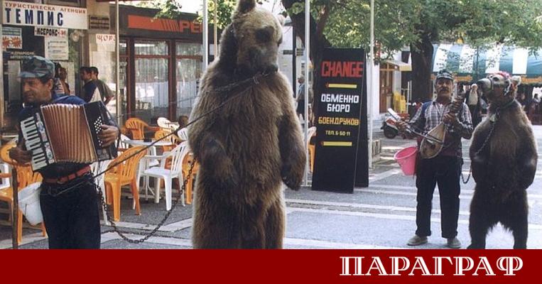 Новината за кончината на френската актриса Брижит Бардо достигна и