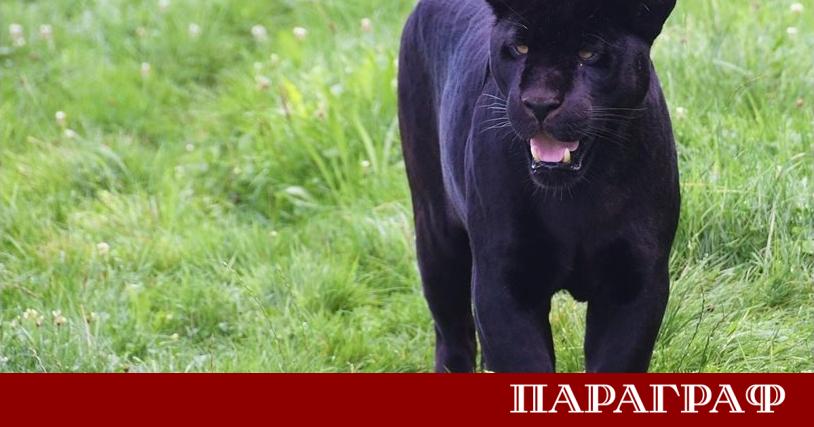 2025 година беше белязана от вълнуващи и трагични събития в