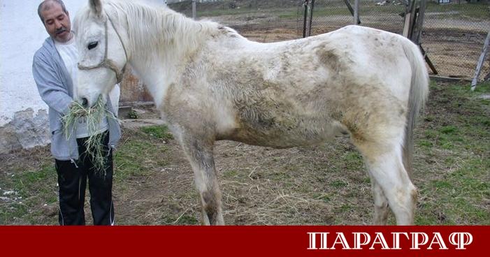 Преди почти 13 години през 2013 г в село Бузовград