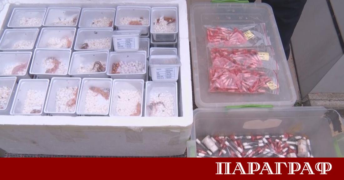 Единственият лицензиран терариум в България разположен в хасковското село Минерални