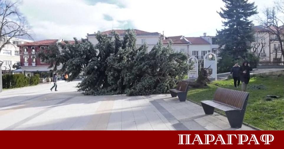 Ураганен вятър вилнее във Враца Стихията нанесе огромни щети през