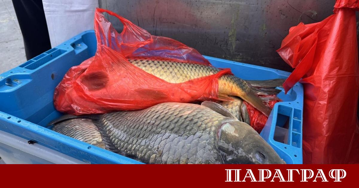 Средиземноморието край Кипър е подложено на инвазия от чужди отровни