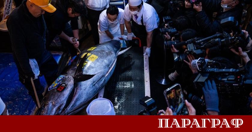 Японски предприемач постави нов рекорд на традиционния новогодишен търг за