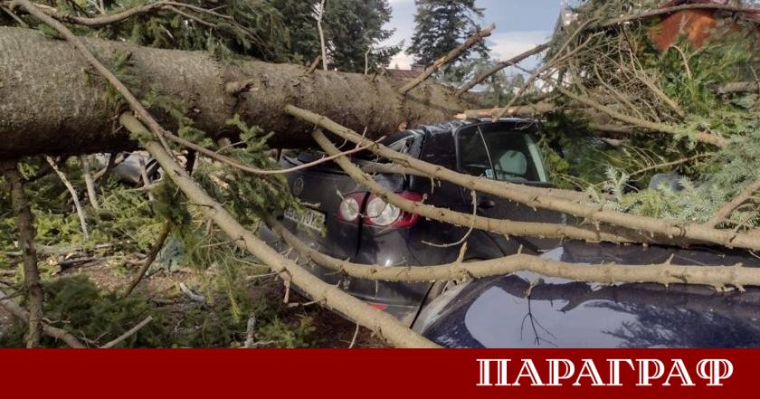 Ураганен вятър причини сериозни щети в курорта Боровец Мощни пориви