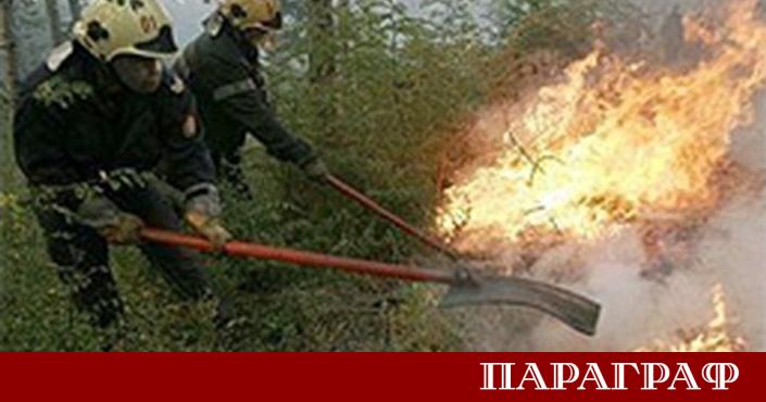 През 2025 година Североизточна България е регистрирала 56 горски пожара