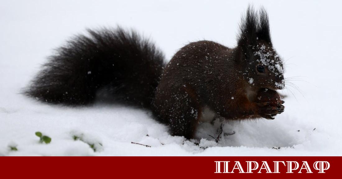 Силно застудяване и влошаване на времето настъпват в България Днес