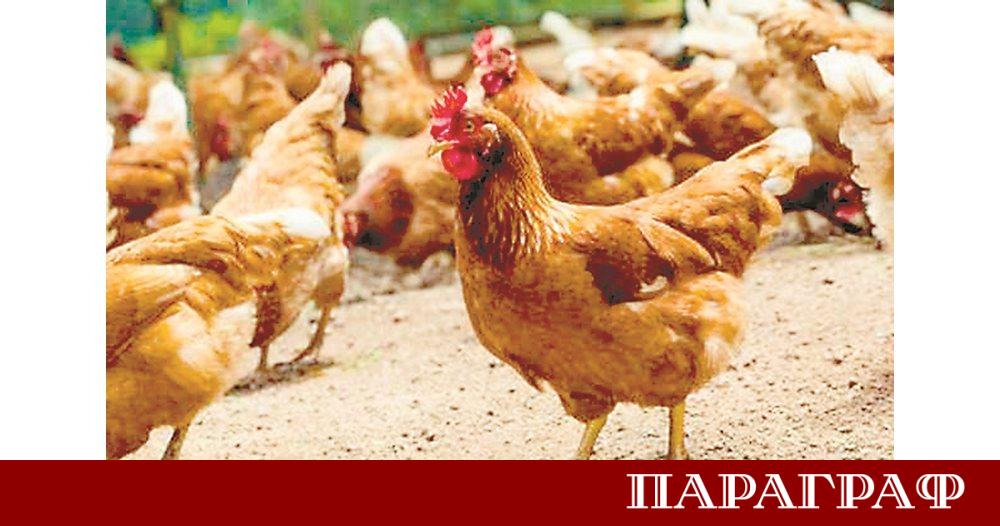 Българската агенция по безопасност на храните БАБХ потвърди две нови