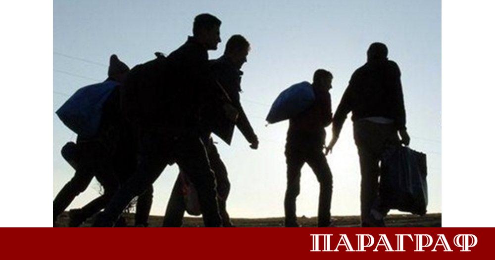 Броят на молбите за убежище в Европейския съюз е отбелязал