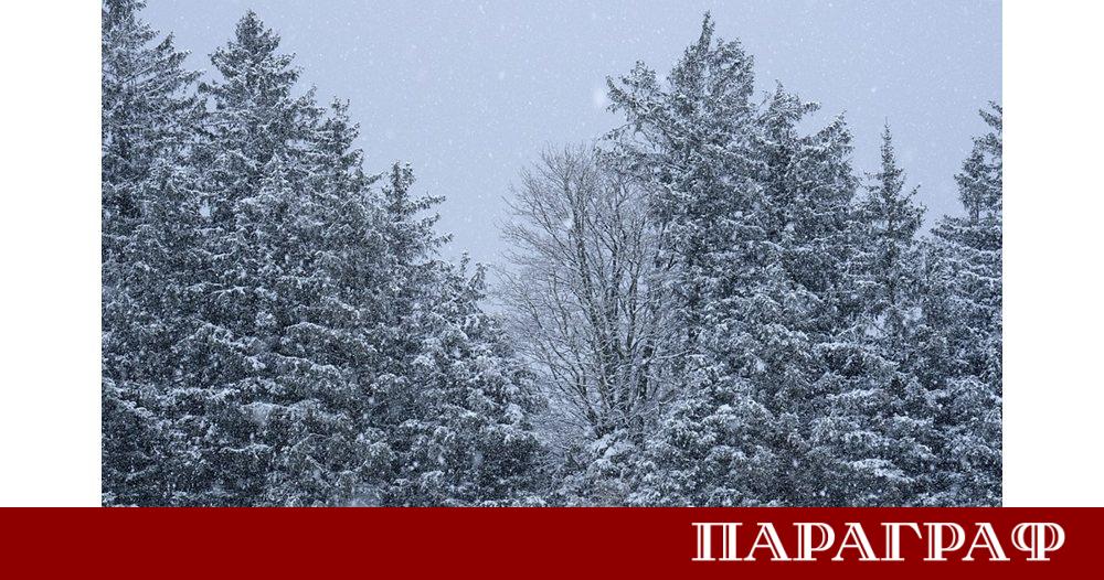 Обилен снеговалеж и силен вятър създадоха сериозни проблеми в Русенска