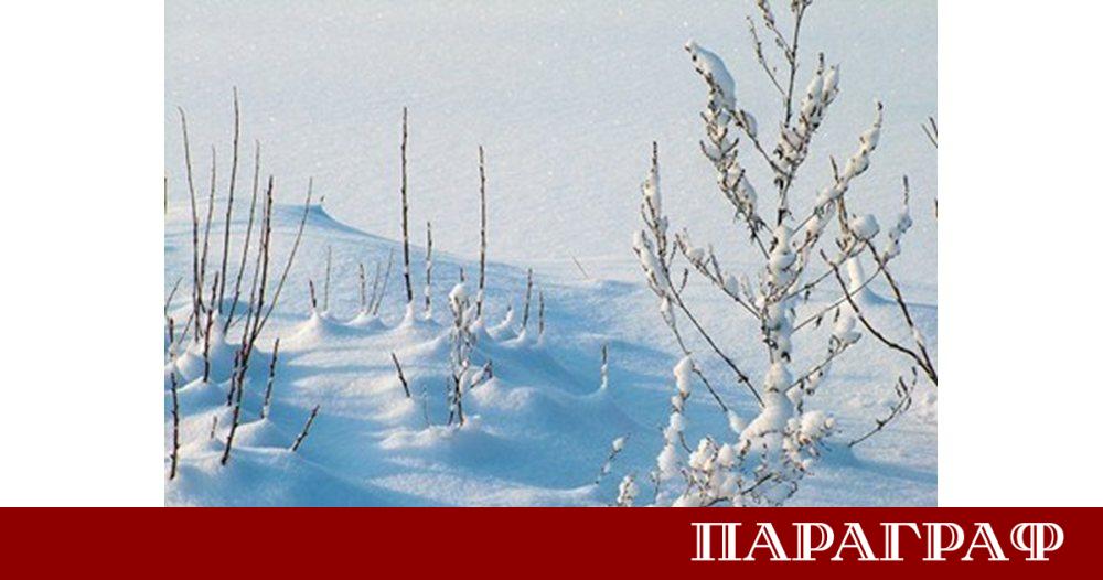 Планинската спасителна служба ПСС към Българския червен кръст БЧК издаде