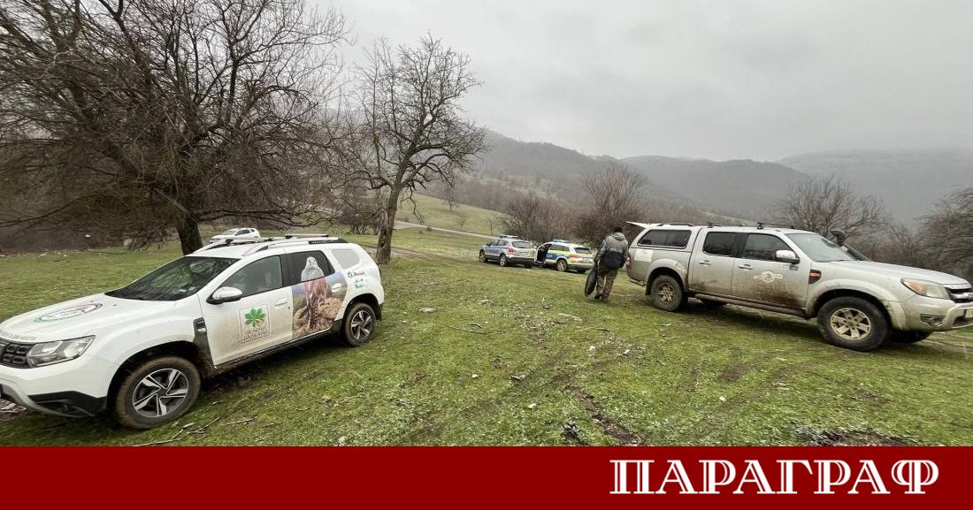 Четири черни лешояда са намерени мъртви в района на Котел