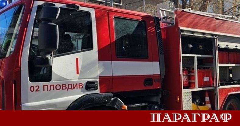 Мащабен пожар е унищожил помещение за отглеждане на патици в