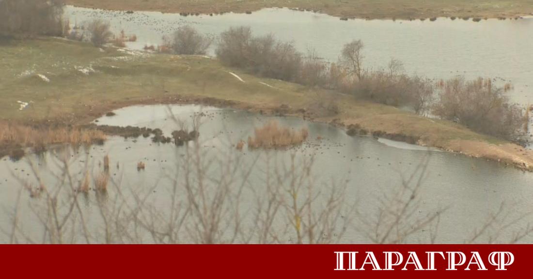 Въпреки ниските температури орнитолози и доброволци провеждат 50 ото среднозимно