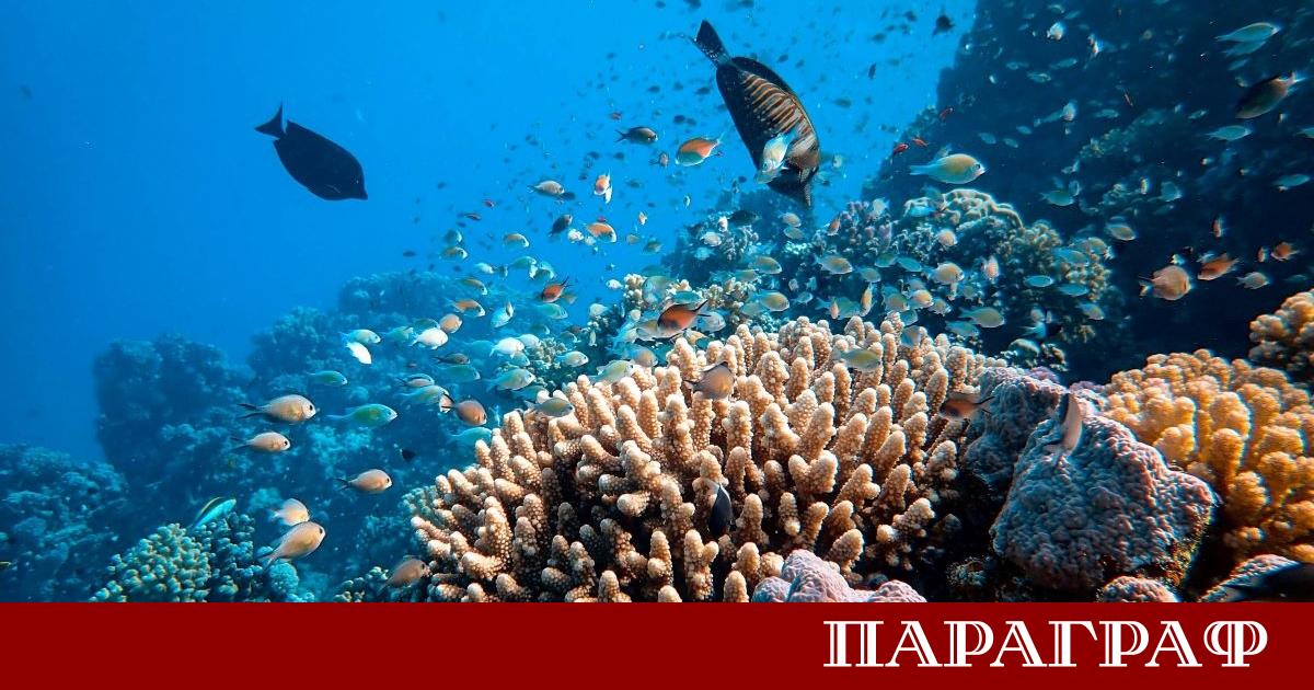 Първото в света правно обвързващо споразумение за защита на морския