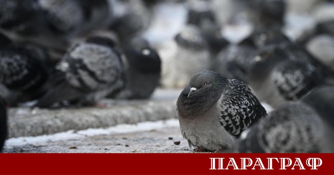 След няколко дни на мразовити температури и жълт код за