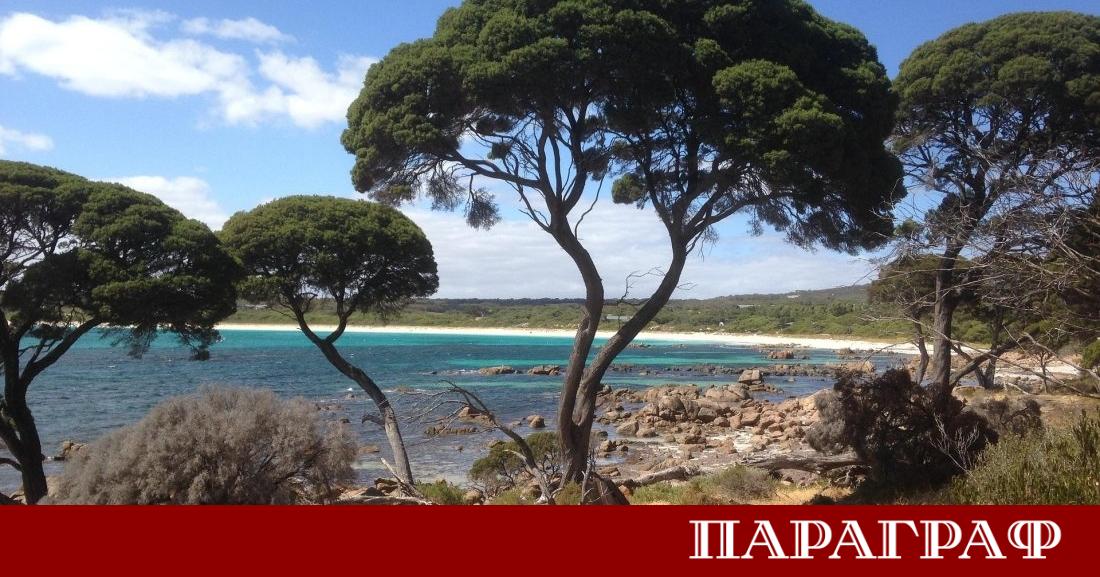 Учени от Австралия представиха новаторски метод за дешифриране на древната