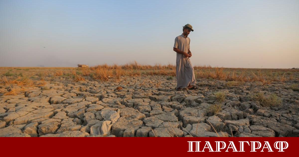 Иракските блата които някога са били обширни водни площи днес
