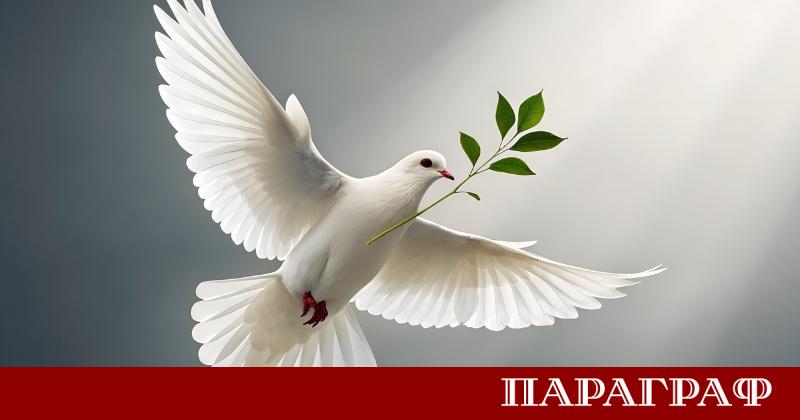 Мир е избрана за детска дума на 2025 г във