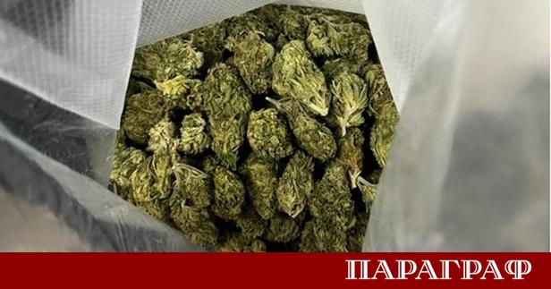 Турски митничари заловиха над 20 килограма канабис при опит за