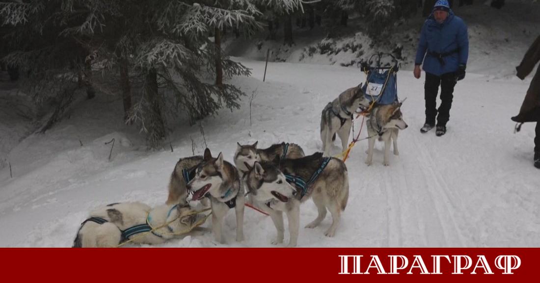 Над 100 състезатели и техните 700 хъскита взеха участие в