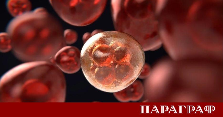 Американски учени от Университета на Уисконсин Медисън пресъздадоха най древния