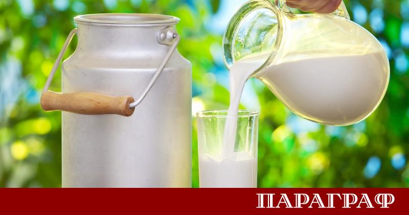 Българското производство на сурово краве мляко е намаляло с 25