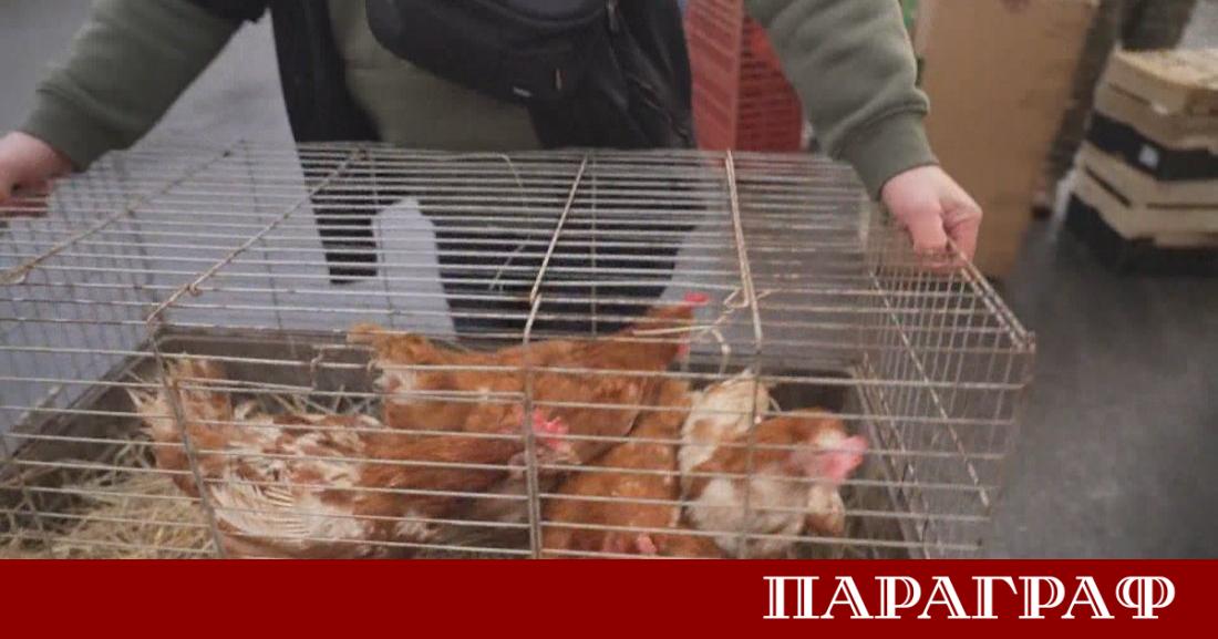 Все повече домакинства във Франция променят навиците си Те започват