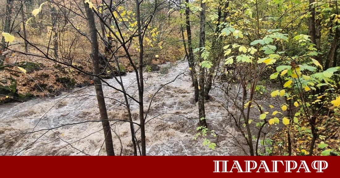 Екипи на Община Кюстендил и противопожарната служба реагират на множество