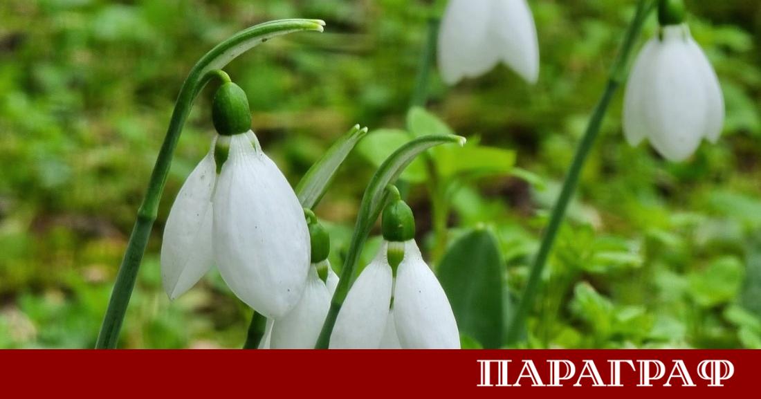 Динамичната метеорологична обстановка в страната продължава да създава предизвикателства като