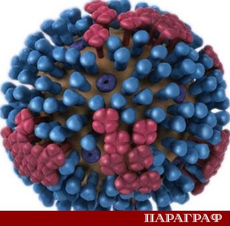 Учени от Мерилендския университет в САЩ проведоха уникално клинично изпитване