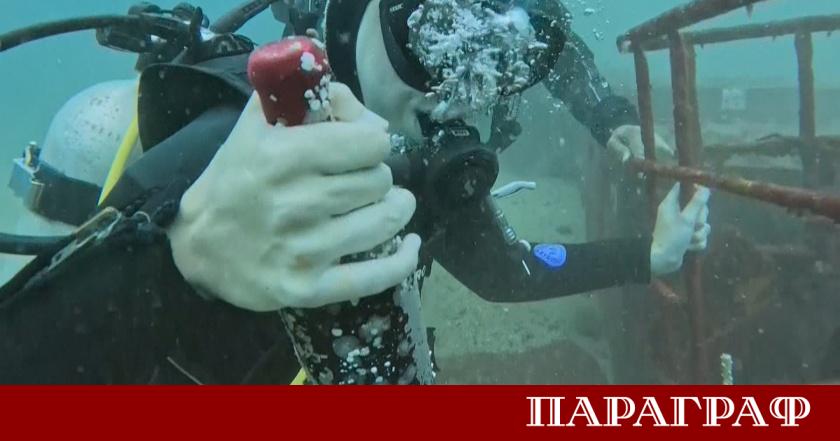 Винопроизводителите в Чили се завръщат към корените на занаята чрез