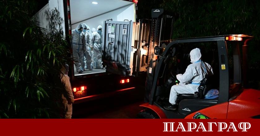 Китайските панди близнаци Сяо Сяо и Лей Лей пристигнаха благополучно