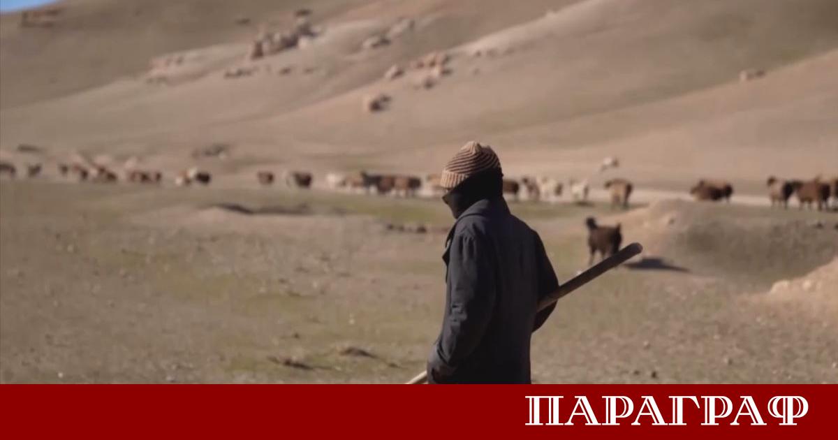 Климатичните промени нанасят опустошителен удар върху земеделието и поминъка в