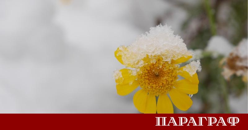 Февруари ще предложи изключително динамично време с температури които ще