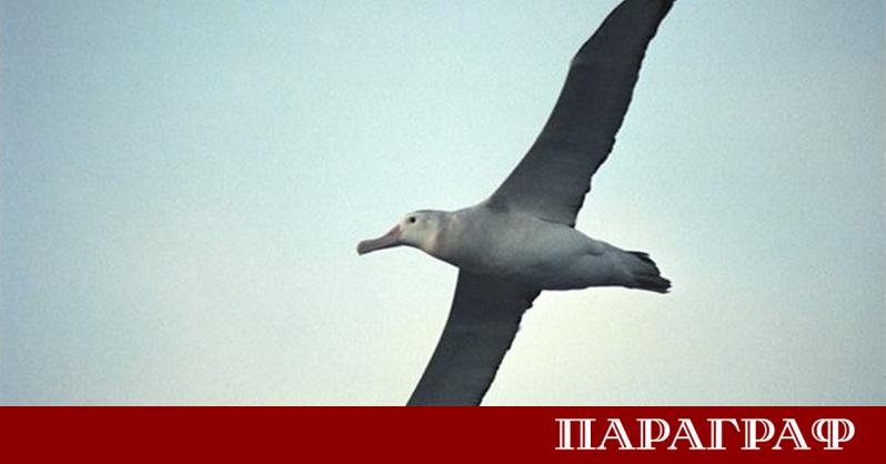 Учени на изследователски кораб край централното крайбрежие на Калифорния станаха