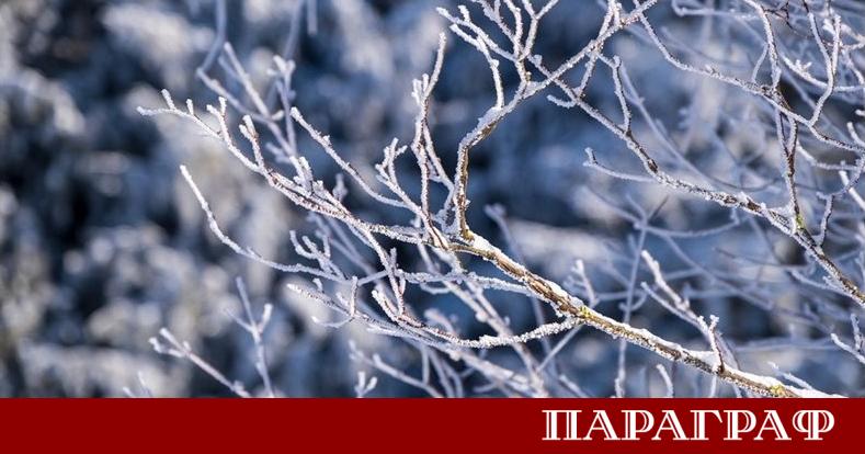 Руската столица Москва преживя най студената си нощ от началото