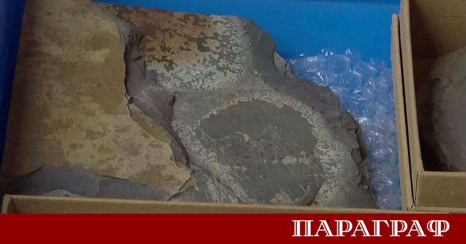 Учени в Китай откриха мащабно находище от древни вкаменелости което