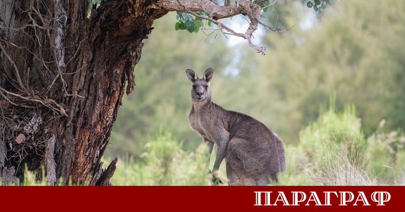 Неочакван инцидент беляза финалния етап на престижното колоездачно състезание Tour