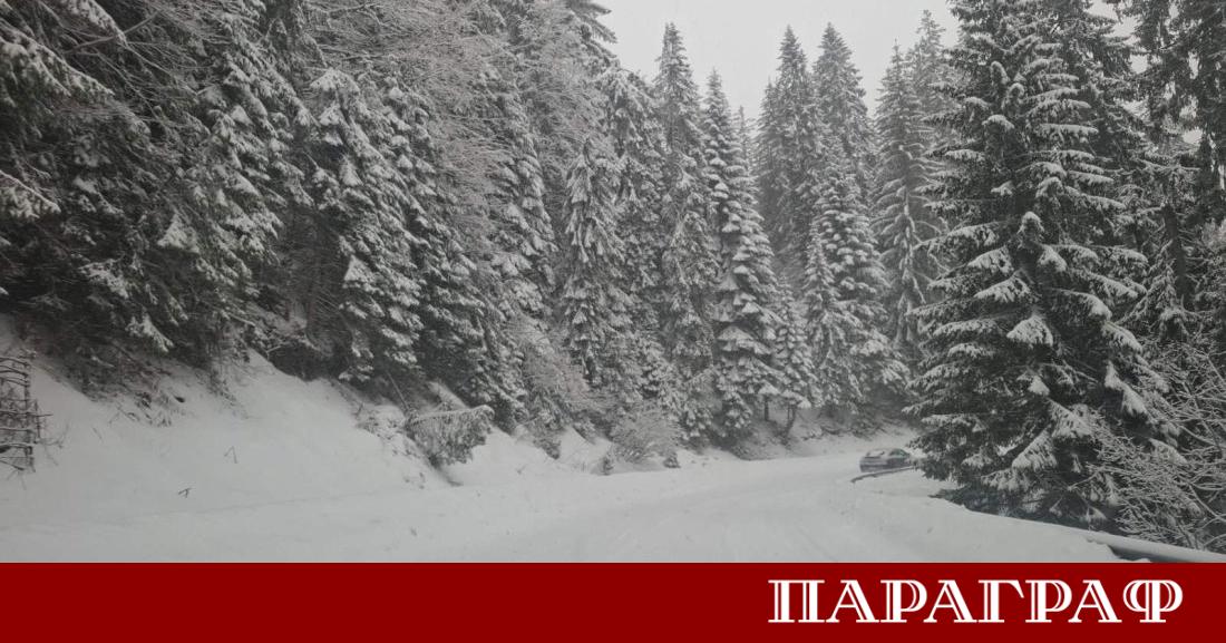 Обилният снеговалеж в Родопите предизвика сериозни затруднения и усложни пътната