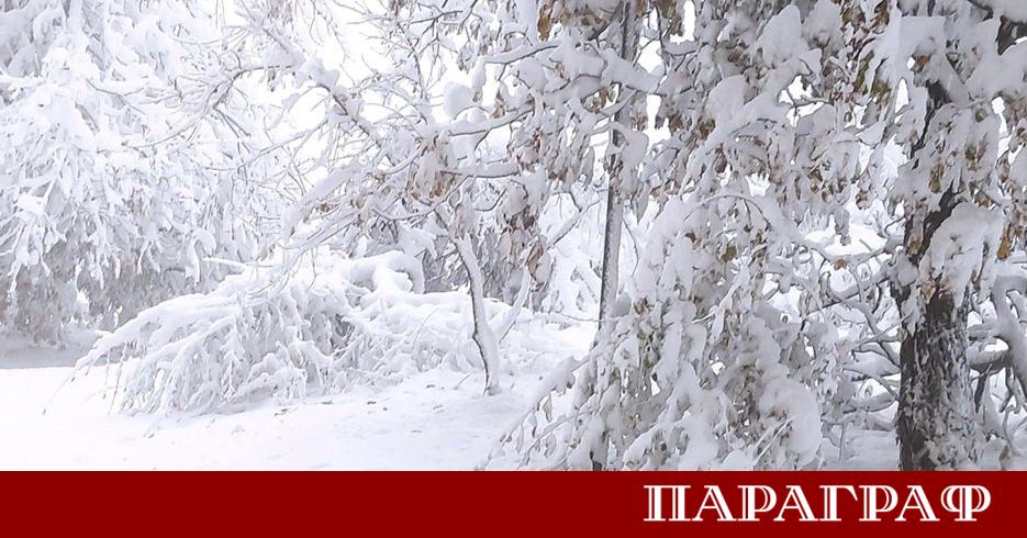 Обилен снеговалеж и интензивно снегопочистване наложиха спешни ограничения по ключови