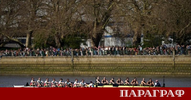 Осем души в една лодка без да броим кормчията Това